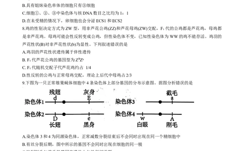 天津市五区县重点校联考2024-2025学年高一下学期4月期中生物试卷_2025年05月试卷_0527天津市五区县重点校联考2024-2025学年高一下学期4月期中考试