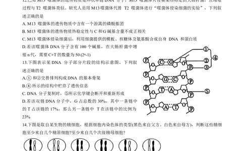 天津市五区县重点校联考2024-2025学年高一下学期4月期中生物试卷_2025年05月试卷_0527天津市五区县重点校联考2024-2025学年高一下学期4月期中考试