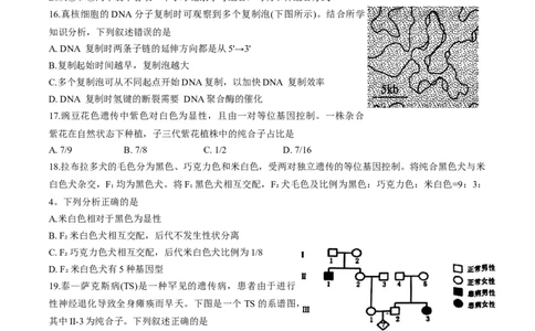 天津市五区县重点校联考2024-2025学年高一下学期4月期中生物试卷_2025年05月试卷_0527天津市五区县重点校联考2024-2025学年高一下学期4月期中考试