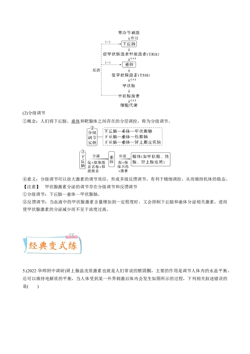 考向18体液调节-备战2023年高考生物一轮复习考点微专题（全国通用）（解析版）_通用版（老高考）复习资料_2023年复习资料_一轮复习_备战2023年高考生物一轮复习考点微专题（全国通用）