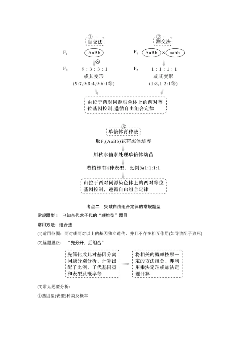 第14讲　基因的自由组合定律_新高考复习资料_2023年新高考复习资料_一轮复习_2023年新高考大一轮复习讲义_2023年高考生物一轮复习讲义（新人教新高考）_赠补充习题