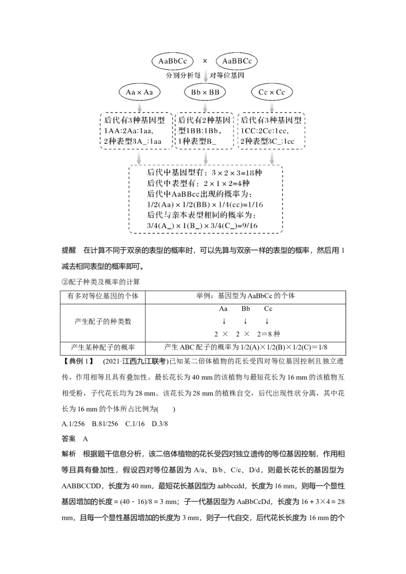 第14讲　基因的自由组合定律_新高考复习资料_2023年新高考复习资料_一轮复习_2023年新高考大一轮复习讲义_2023年高考生物一轮复习讲义（新人教新高考）_赠补充习题
