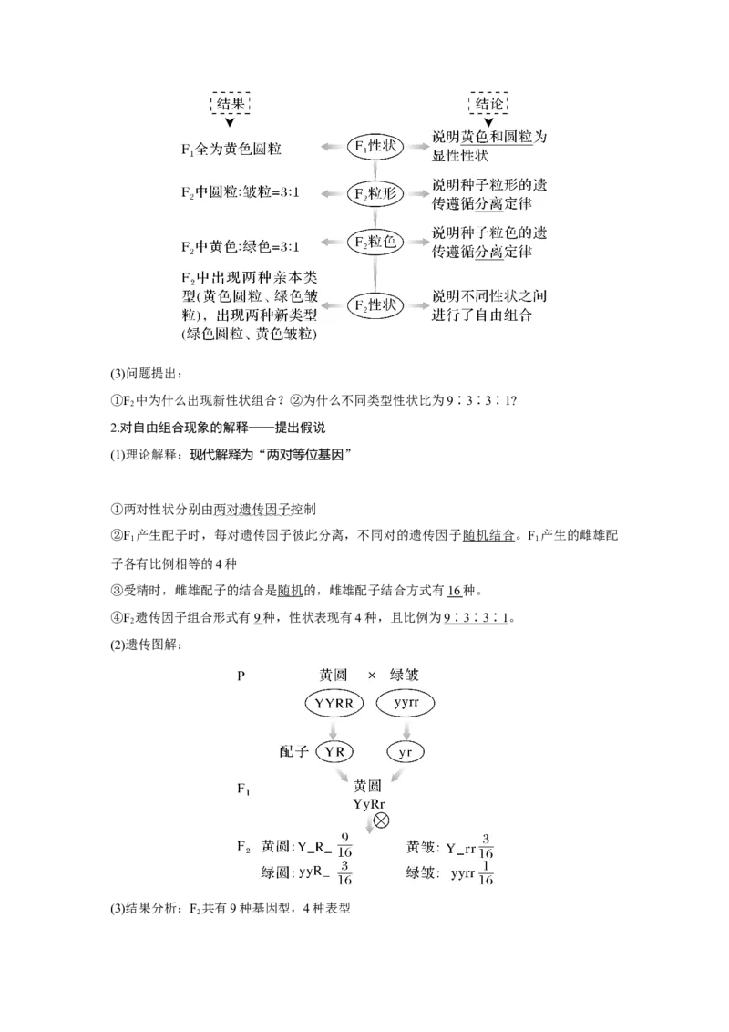 第14讲　基因的自由组合定律_新高考复习资料_2023年新高考复习资料_一轮复习_2023年新高考大一轮复习讲义_2023年高考生物一轮复习讲义（新人教新高考）_赠补充习题
