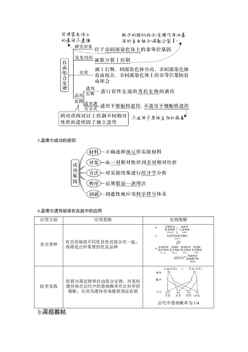 第14讲　基因的自由组合定律_新高考复习资料_2023年新高考复习资料_一轮复习_2023年新高考大一轮复习讲义_2023年高考生物一轮复习讲义（新人教新高考）_赠补充习题