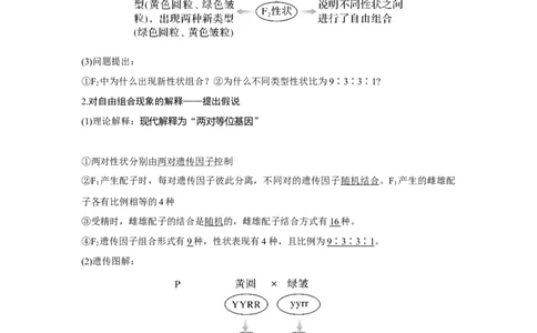 第14讲　基因的自由组合定律_新高考复习资料_2023年新高考复习资料_一轮复习_2023年新高考大一轮复习讲义_2023年高考生物一轮复习讲义（新人教新高考）_赠补充习题