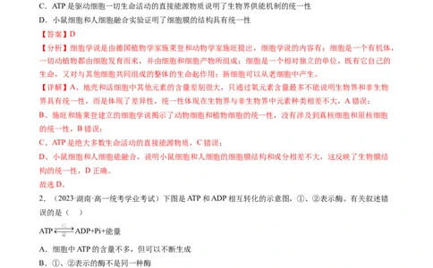 第8.2讲ATP（练习）（解析版）_新高考复习资料_2024年新高考复习资料_一轮复习资料_完2024年高考生物一轮复习讲练测(课件+讲义+练习)（新高考）_讲义+练习_第8.2讲ATP（练习）