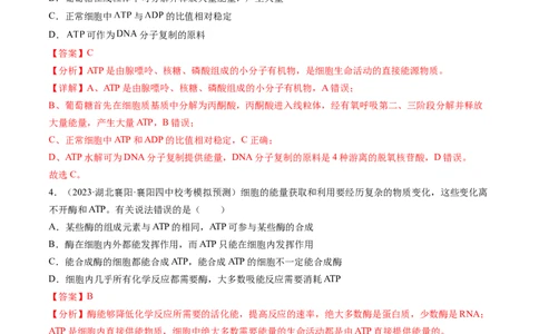 第8.2讲ATP（练习）（解析版）_新高考复习资料_2024年新高考复习资料_一轮复习资料_完2024年高考生物一轮复习讲练测(课件+讲义+练习)（新高考）_讲义+练习_第8.2讲ATP（练习）