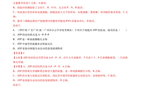 第8.2讲ATP（练习）（解析版）_新高考复习资料_2024年新高考复习资料_一轮复习资料_完2024年高考生物一轮复习讲练测(课件+讲义+练习)（新高考）_讲义+练习_第8.2讲ATP（练习）