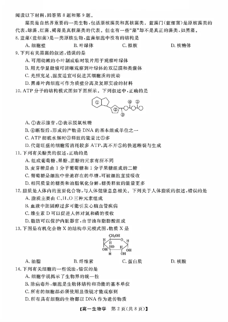 生物试题_2025年11月高一试卷_251126浙江省卓越高中联盟2025-2026学年高一上学期11月期中联考（全）_浙江省卓越高中联盟2025-2026学年高一上学期11月联考生物试题含答案