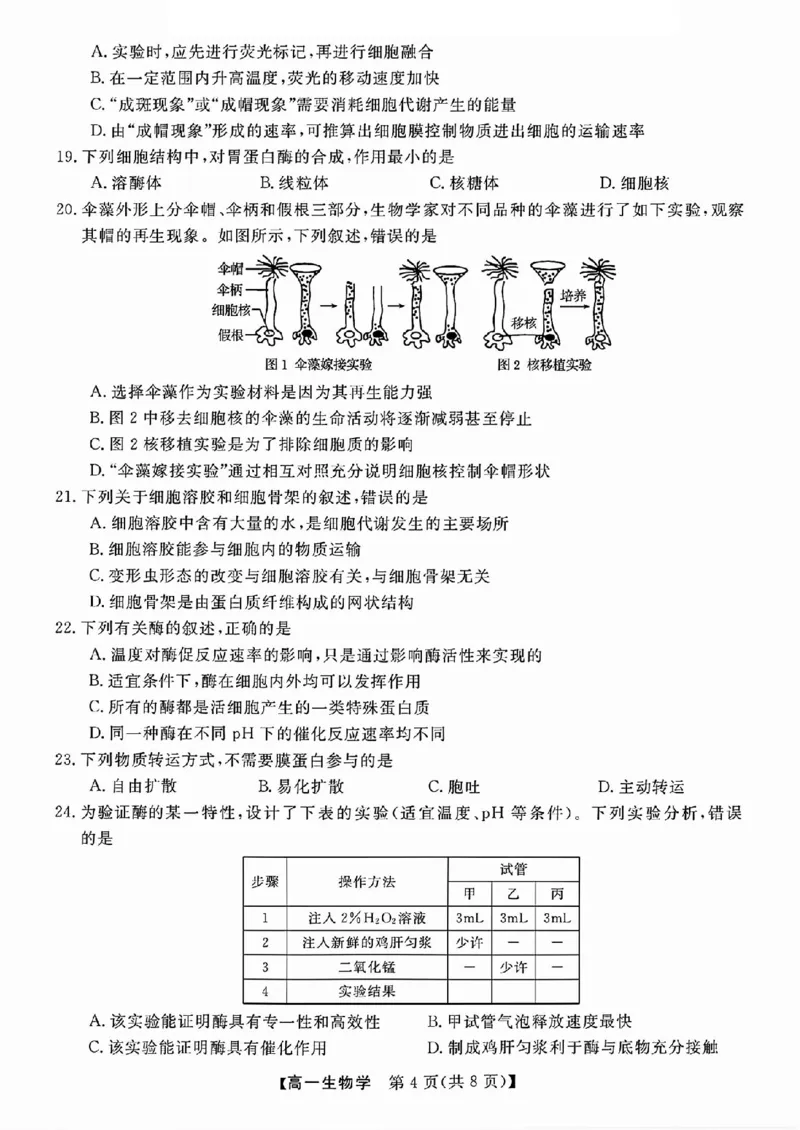 生物试题_2025年11月高一试卷_251126浙江省卓越高中联盟2025-2026学年高一上学期11月期中联考（全）_浙江省卓越高中联盟2025-2026学年高一上学期11月联考生物试题含答案