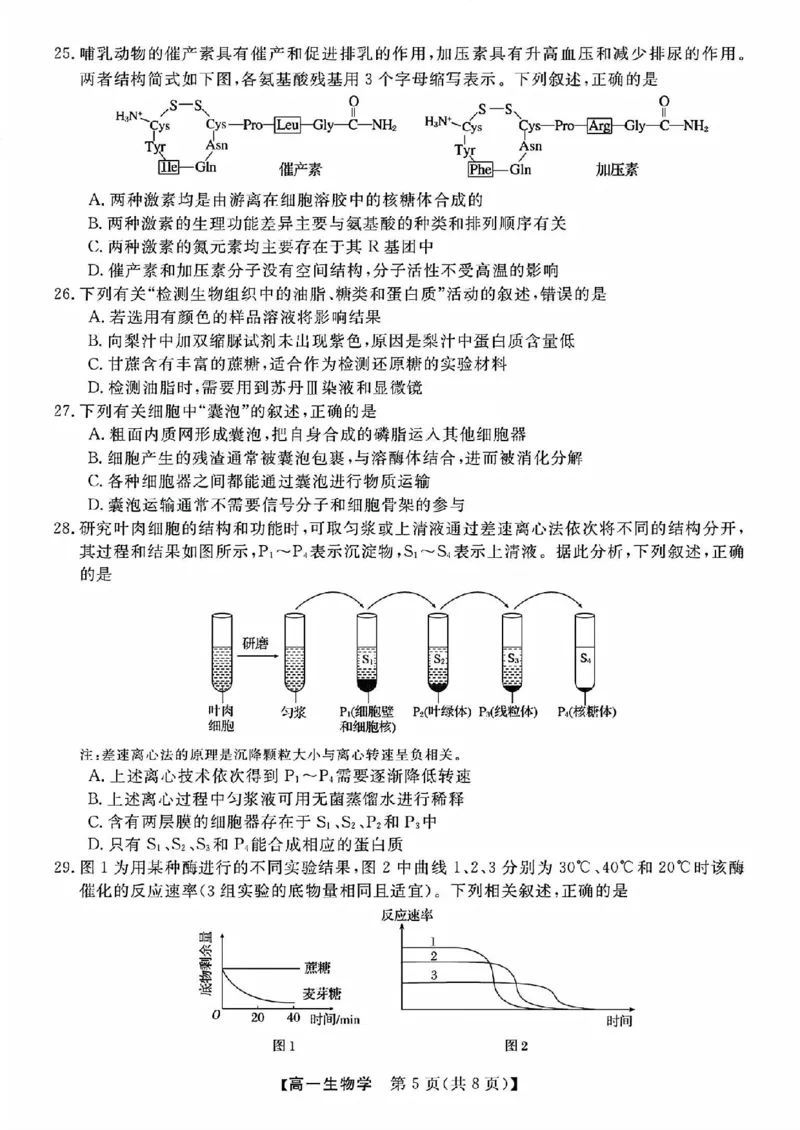 生物试题_2025年11月高一试卷_251126浙江省卓越高中联盟2025-2026学年高一上学期11月期中联考（全）_浙江省卓越高中联盟2025-2026学年高一上学期11月联考生物试题含答案