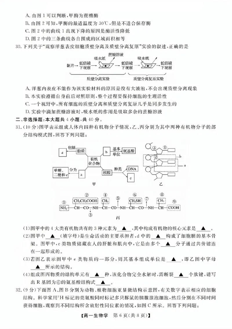 生物试题_2025年11月高一试卷_251126浙江省卓越高中联盟2025-2026学年高一上学期11月期中联考（全）_浙江省卓越高中联盟2025-2026学年高一上学期11月联考生物试题含答案