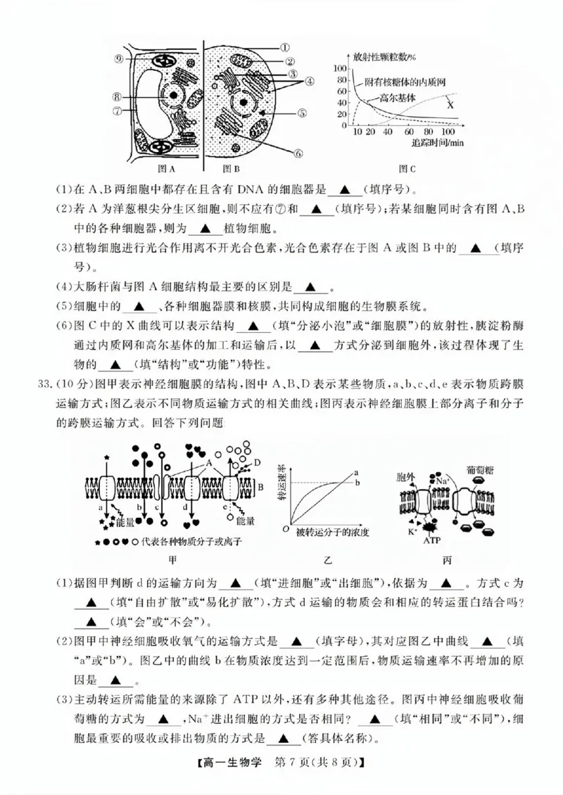 生物试题_2025年11月高一试卷_251126浙江省卓越高中联盟2025-2026学年高一上学期11月期中联考（全）_浙江省卓越高中联盟2025-2026学年高一上学期11月联考生物试题含答案