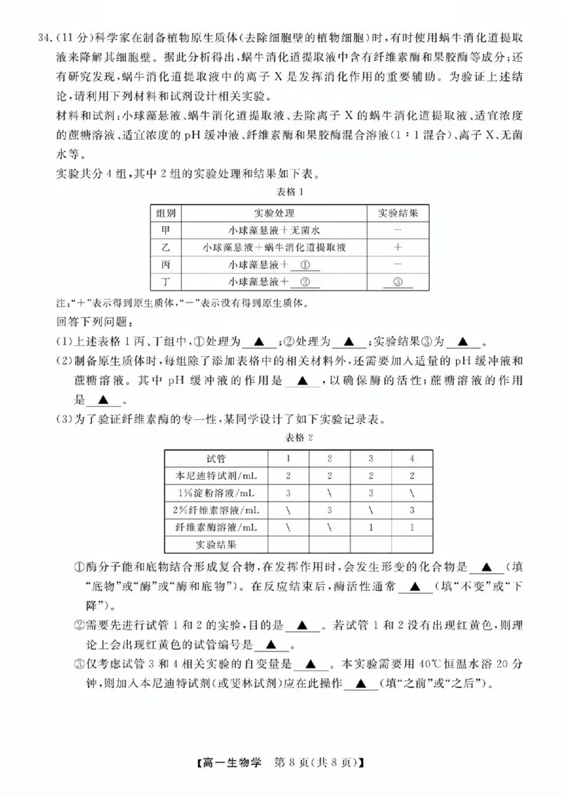 生物试题_2025年11月高一试卷_251126浙江省卓越高中联盟2025-2026学年高一上学期11月期中联考（全）_浙江省卓越高中联盟2025-2026学年高一上学期11月联考生物试题含答案