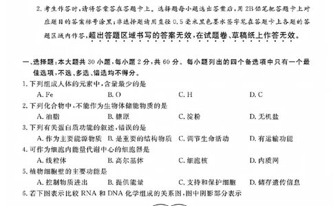 生物试题_2025年11月高一试卷_251126浙江省卓越高中联盟2025-2026学年高一上学期11月期中联考（全）_浙江省卓越高中联盟2025-2026学年高一上学期11月联考生物试题含答案