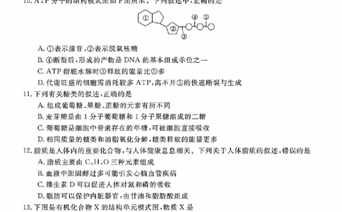 生物试题_2025年11月高一试卷_251126浙江省卓越高中联盟2025-2026学年高一上学期11月期中联考（全）_浙江省卓越高中联盟2025-2026学年高一上学期11月联考生物试题含答案