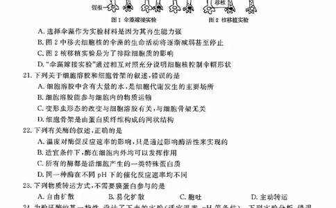 生物试题_2025年11月高一试卷_251126浙江省卓越高中联盟2025-2026学年高一上学期11月期中联考（全）_浙江省卓越高中联盟2025-2026学年高一上学期11月联考生物试题含答案