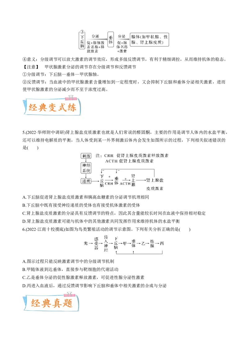 考向18体液调节-备战2023年高考生物一轮复习考点微专题（全国通用）（原卷版）_通用版（老高考）复习资料_2023年复习资料_一轮复习_备战2023年高考生物一轮复习考点微专题（全国通用）