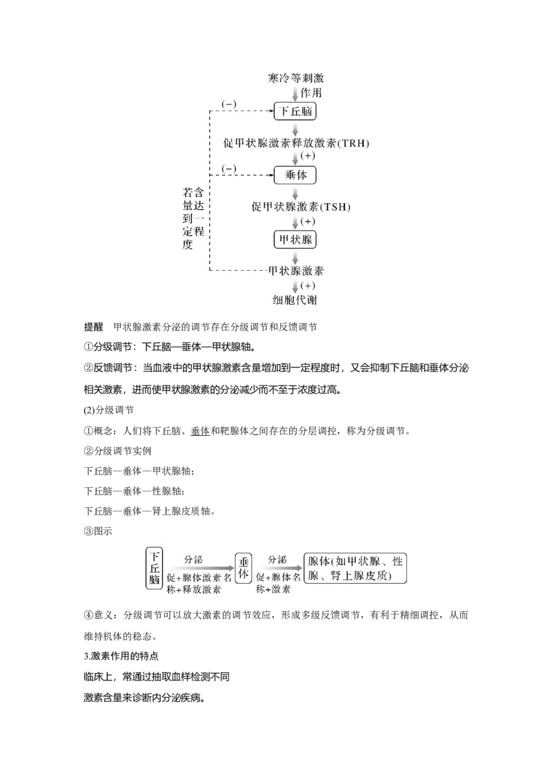 第24讲　体液调节及与神经调节的关系_新高考复习资料_2023年新高考复习资料_一轮复习_2023年新高考大一轮复习讲义_2023年高考生物一轮复习讲义（新人教新高考）_赠补充习题