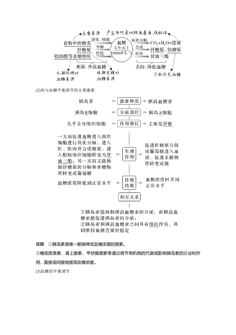 第24讲　体液调节及与神经调节的关系_新高考复习资料_2023年新高考复习资料_一轮复习_2023年新高考大一轮复习讲义_2023年高考生物一轮复习讲义（新人教新高考）_赠补充习题