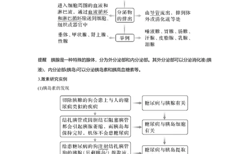 第24讲　体液调节及与神经调节的关系_新高考复习资料_2023年新高考复习资料_一轮复习_2023年新高考大一轮复习讲义_2023年高考生物一轮复习讲义（新人教新高考）_赠补充习题