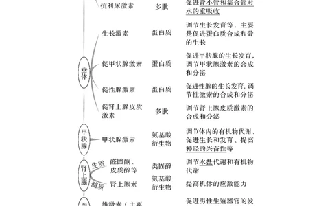 第24讲　体液调节及与神经调节的关系_新高考复习资料_2023年新高考复习资料_一轮复习_2023年新高考大一轮复习讲义_2023年高考生物一轮复习讲义（新人教新高考）_赠补充习题