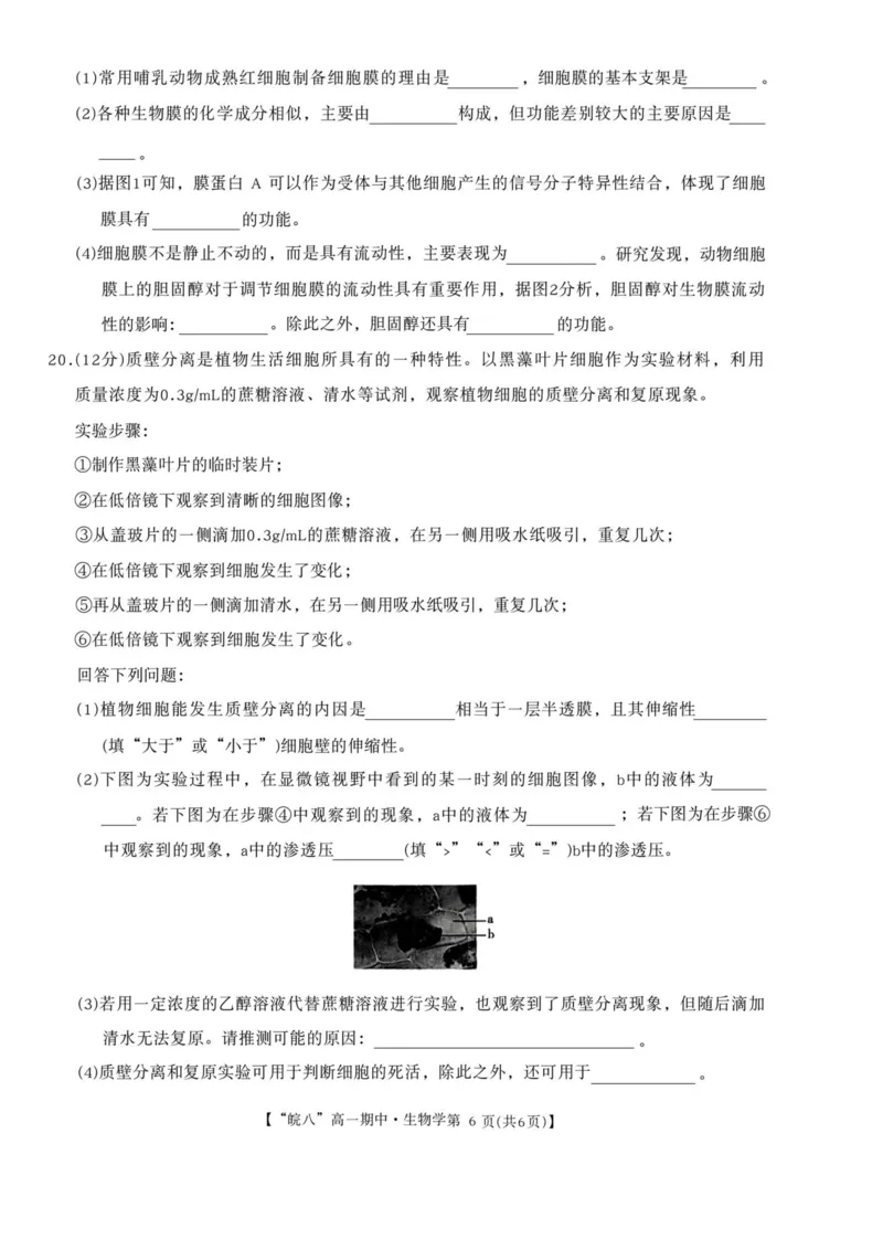 安徽省&ldquo;皖南八校&rdquo;2025-2026学年高一上学期期中考试生物PDF版含解析_2025年12月高一试卷_251210安徽省&ldquo;皖南八校&rdquo;2025-2026学年高一上学期期中考试（全)