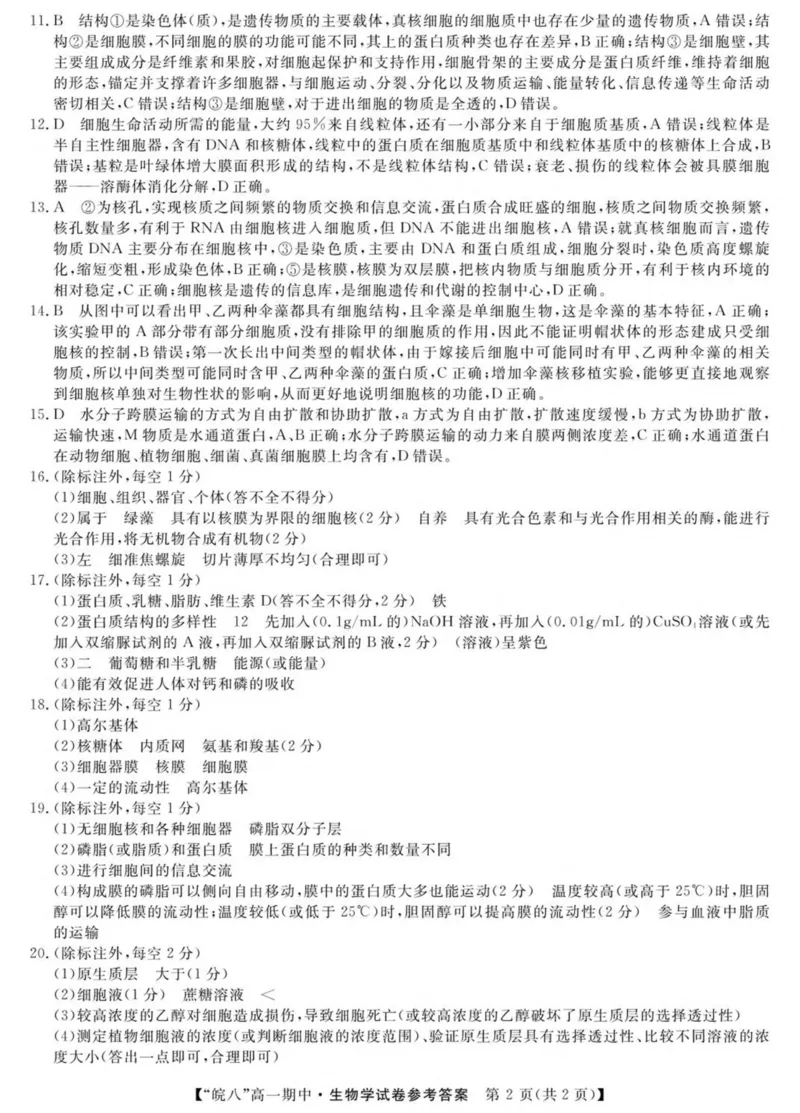 安徽省&ldquo;皖南八校&rdquo;2025-2026学年高一上学期期中考试生物PDF版含解析_2025年12月高一试卷_251210安徽省&ldquo;皖南八校&rdquo;2025-2026学年高一上学期期中考试（全)