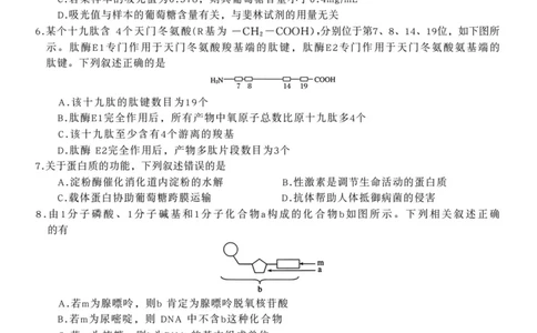 安徽省&ldquo;皖南八校&rdquo;2025-2026学年高一上学期期中考试生物PDF版含解析_2025年12月高一试卷_251210安徽省&ldquo;皖南八校&rdquo;2025-2026学年高一上学期期中考试（全)