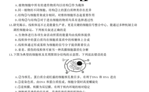 安徽省&ldquo;皖南八校&rdquo;2025-2026学年高一上学期期中考试生物PDF版含解析_2025年12月高一试卷_251210安徽省&ldquo;皖南八校&rdquo;2025-2026学年高一上学期期中考试（全)