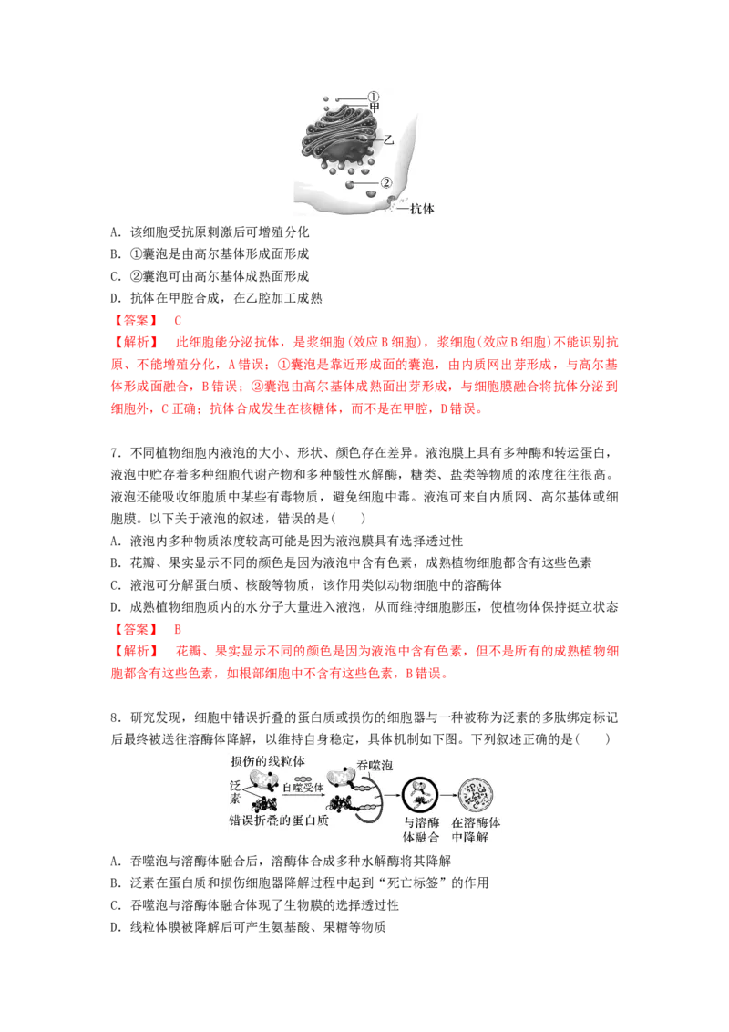 考点08细胞器之间的分工合作（解析版）_通用版（老高考）复习资料_2023年复习资料_一轮复习_2023年高考生物一轮复习讲练测（全国通用）