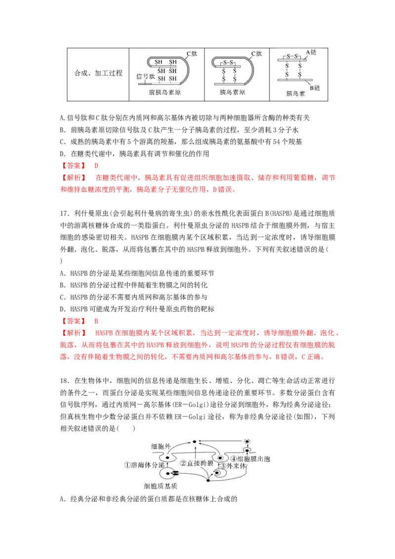 考点08细胞器之间的分工合作（解析版）_通用版（老高考）复习资料_2023年复习资料_一轮复习_2023年高考生物一轮复习讲练测（全国通用）
