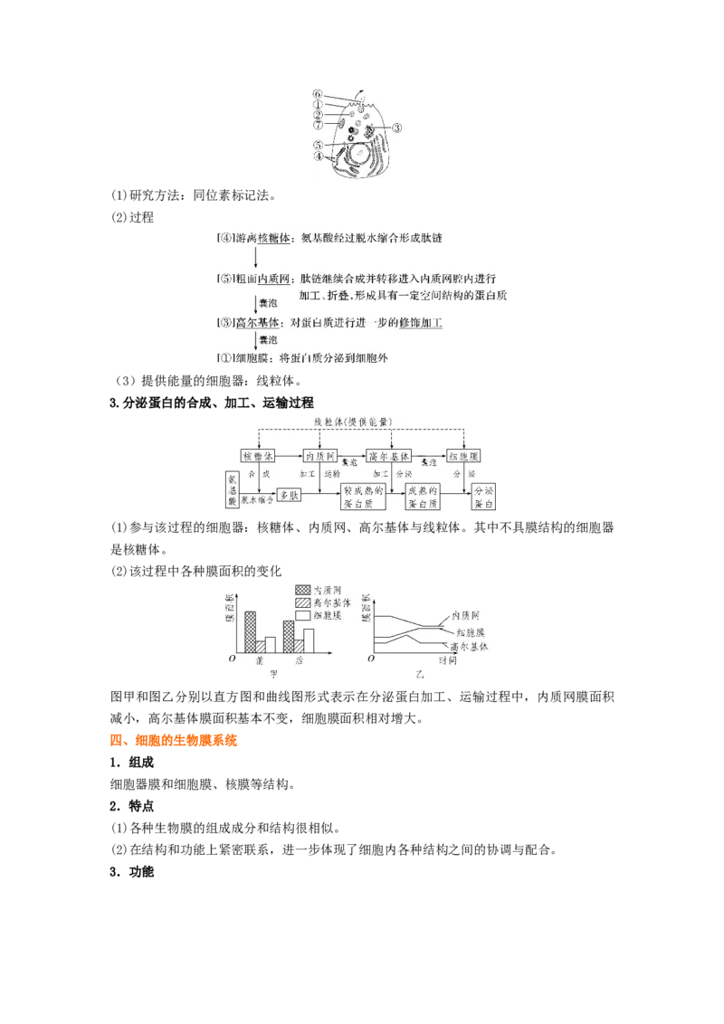 考点08细胞器之间的分工合作（解析版）_通用版（老高考）复习资料_2023年复习资料_一轮复习_2023年高考生物一轮复习讲练测（全国通用）
