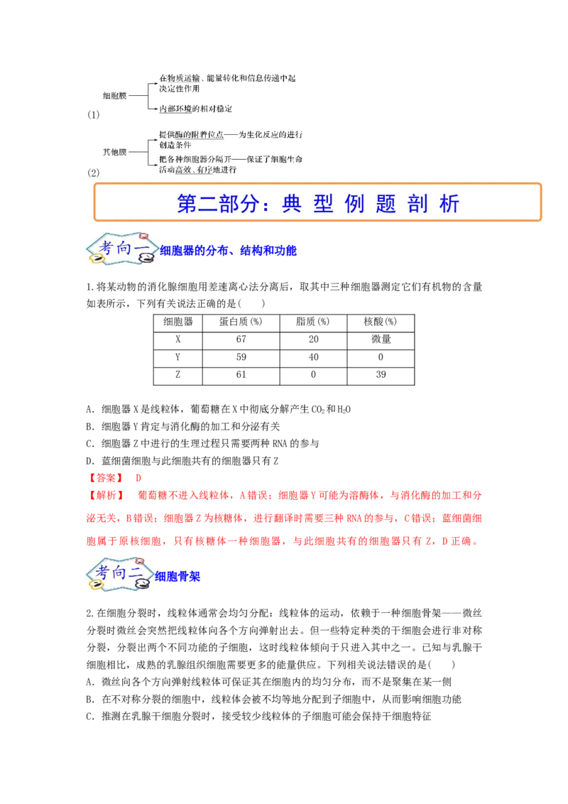 考点08细胞器之间的分工合作（解析版）_通用版（老高考）复习资料_2023年复习资料_一轮复习_2023年高考生物一轮复习讲练测（全国通用）
