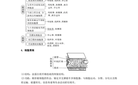 考点08细胞器之间的分工合作（解析版）_通用版（老高考）复习资料_2023年复习资料_一轮复习_2023年高考生物一轮复习讲练测（全国通用）