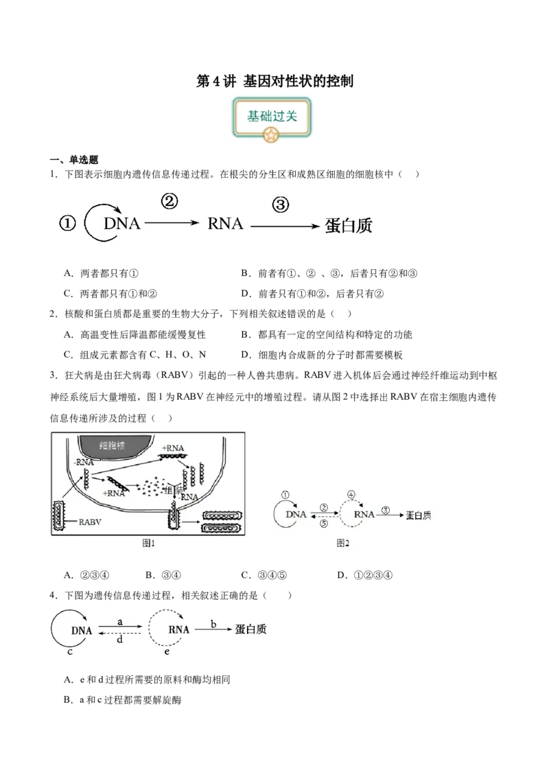 第4讲基因对性状的控制（原卷版）_通用版（老高考）复习资料_2024年复习资料_完备战2024年高考生物一轮复习考点帮（全国通用）_专题七遗传的物质基础