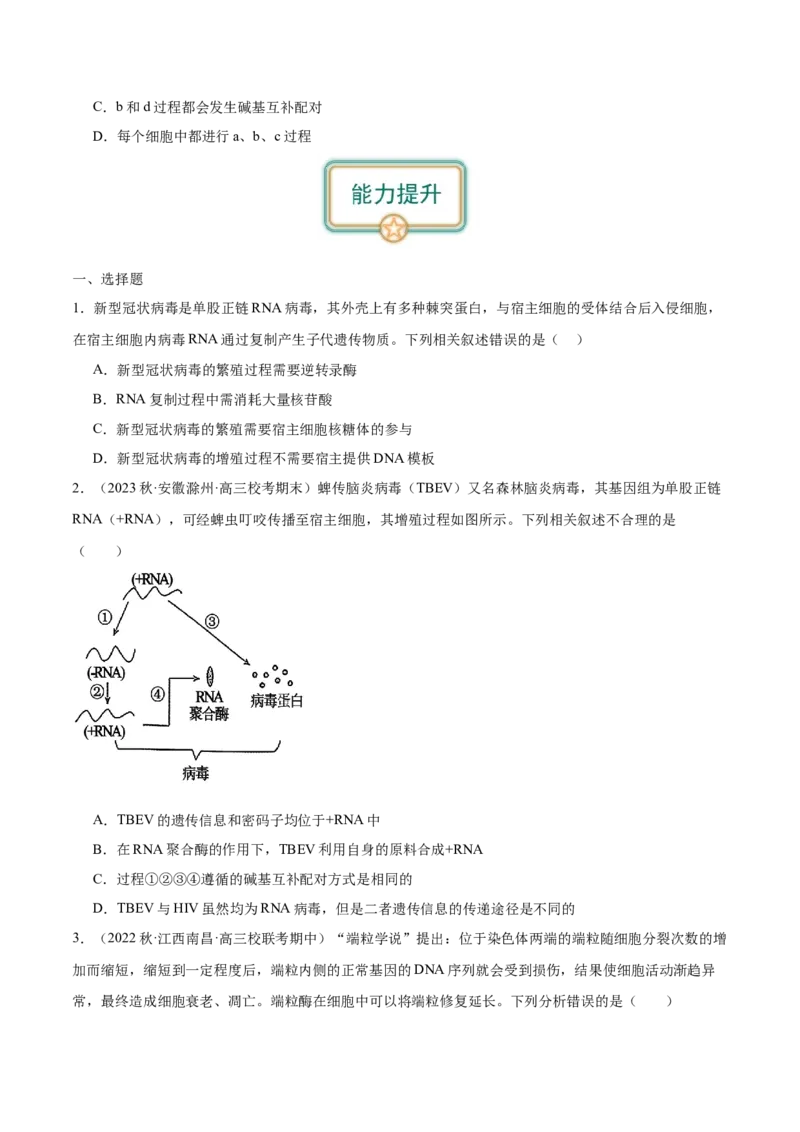 第4讲基因对性状的控制（原卷版）_通用版（老高考）复习资料_2024年复习资料_完备战2024年高考生物一轮复习考点帮（全国通用）_专题七遗传的物质基础