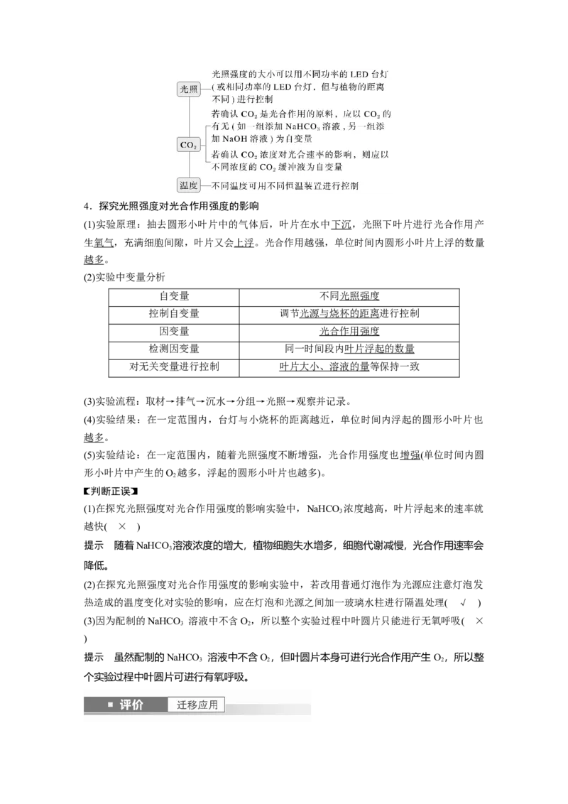 第三单元　第17课时　光合作用的影响因素及其应用_2025年新高考资料_一轮复习_2025大一轮复习讲义+课件（完结）_2025大一轮复习讲义生物教师用书Word版文档整书