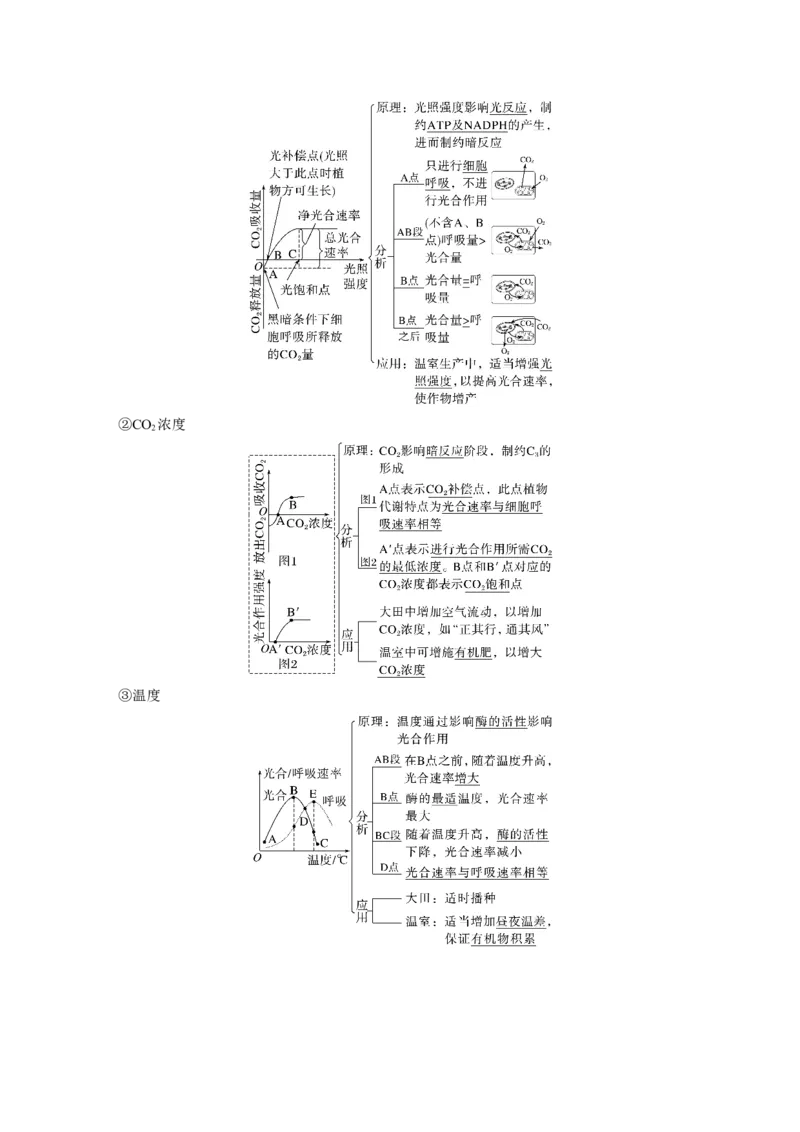 第三单元　第17课时　光合作用的影响因素及其应用_2025年新高考资料_一轮复习_2025大一轮复习讲义+课件（完结）_2025大一轮复习讲义生物教师用书Word版文档整书