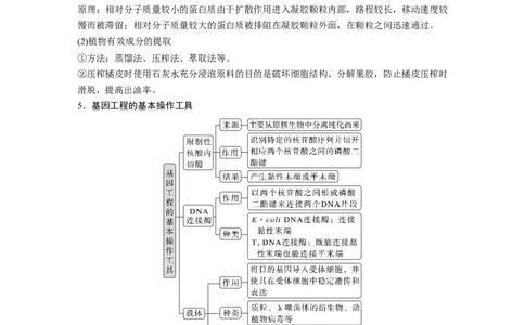 第二篇第一部分九、生物技术与工程_通用版（老高考）复习资料_2023年复习资料_二轮复习_2023年高考生物二轮复习讲义+课件（全国版）_2023年高考生物二轮复习讲义（全国版）_学生版