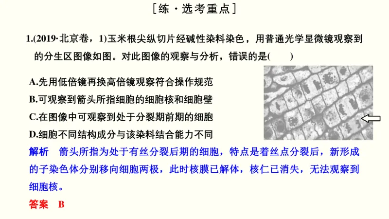 第十六单元实验与探究（教案）_新高考复习资料_2022年新高考复习资料_2022届一轮复习讲练结合7.13更新_系列一_第十六单元实验与探究