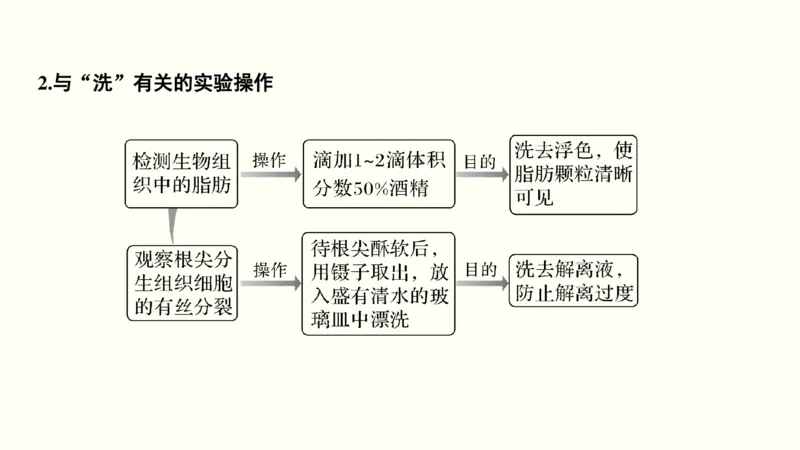 第十六单元实验与探究（教案）_新高考复习资料_2022年新高考复习资料_2022届一轮复习讲练结合7.13更新_系列一_第十六单元实验与探究