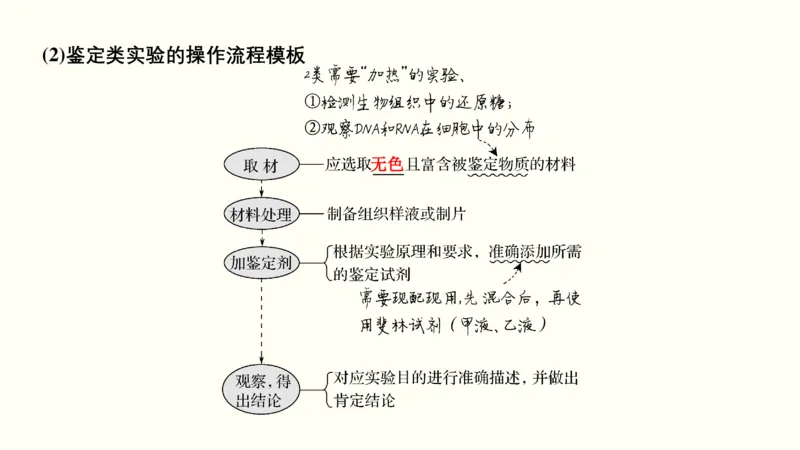 第十六单元实验与探究（教案）_新高考复习资料_2022年新高考复习资料_2022届一轮复习讲练结合7.13更新_系列一_第十六单元实验与探究