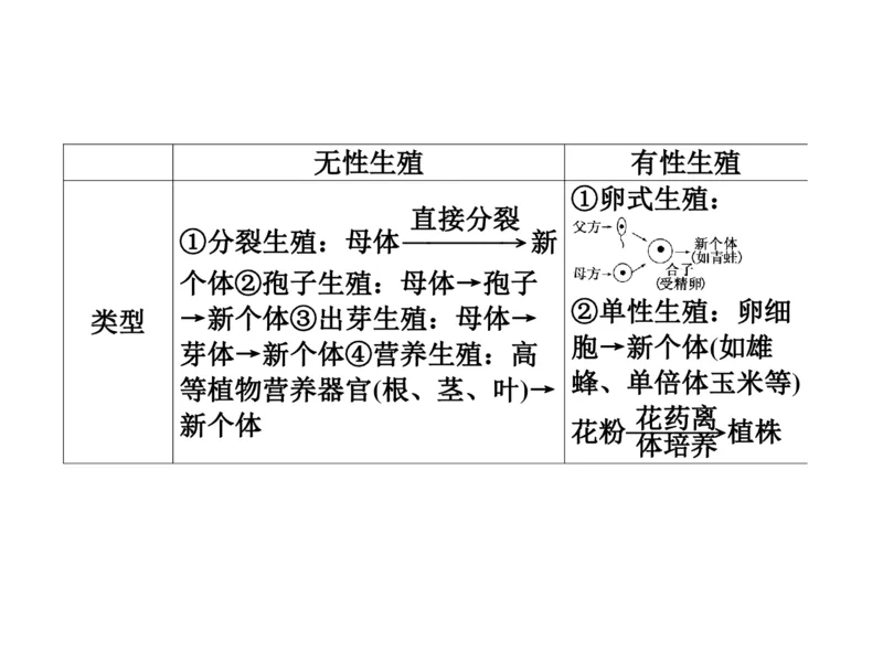 考点精讲7细胞的生命历程（教案）_新高考复习资料_2022年新高考复习资料_2022届一轮复习讲练结合7.13更新_系列二_考点精讲7细胞的生命历程