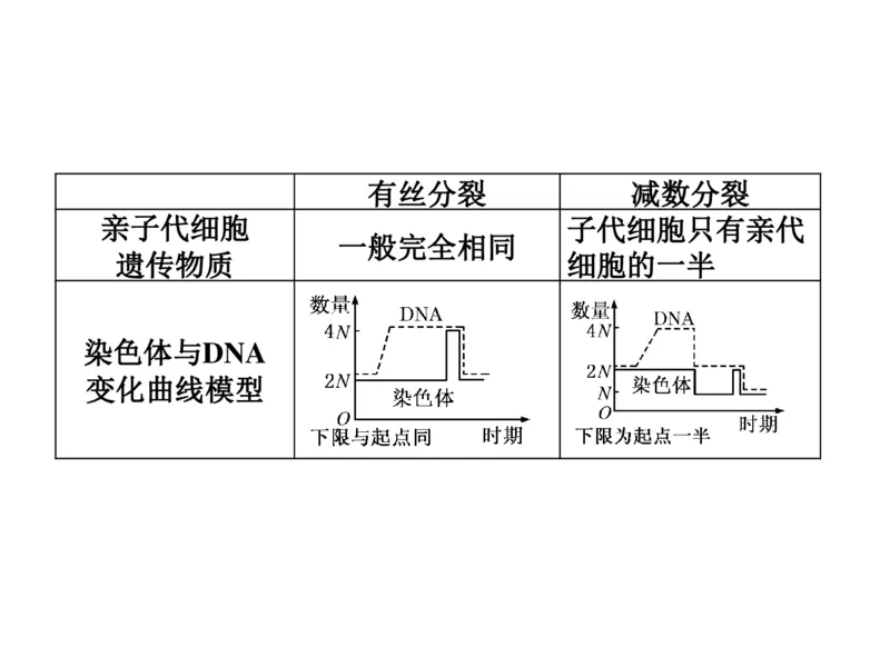 考点精讲7细胞的生命历程（教案）_新高考复习资料_2022年新高考复习资料_2022届一轮复习讲练结合7.13更新_系列二_考点精讲7细胞的生命历程