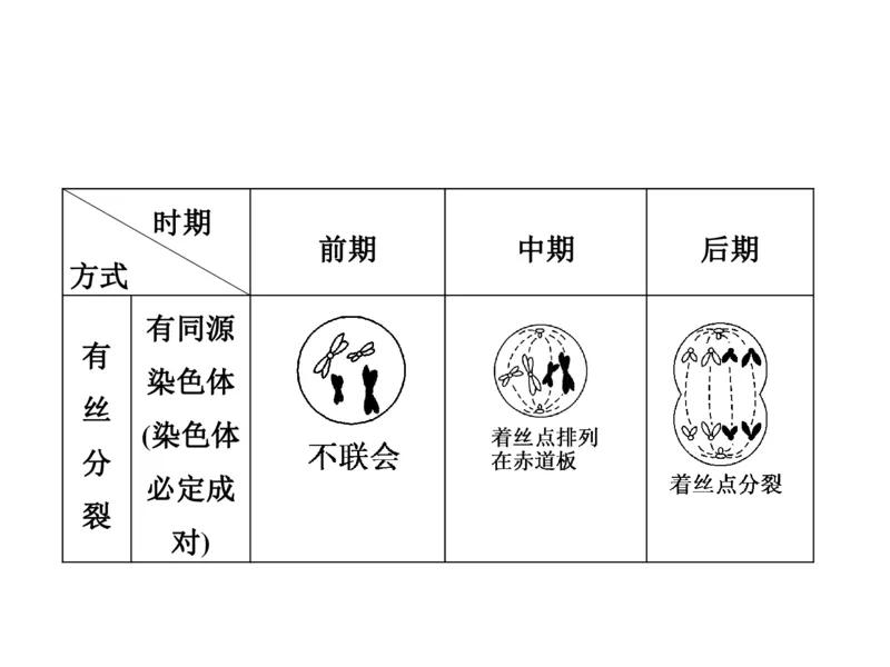 考点精讲7细胞的生命历程（教案）_新高考复习资料_2022年新高考复习资料_2022届一轮复习讲练结合7.13更新_系列二_考点精讲7细胞的生命历程