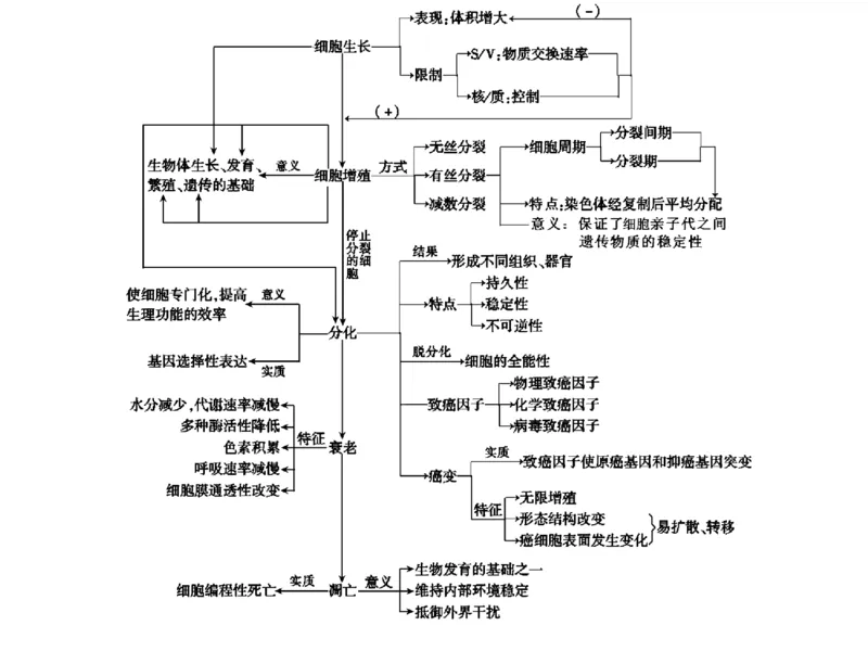 考点精讲7细胞的生命历程（教案）_新高考复习资料_2022年新高考复习资料_2022届一轮复习讲练结合7.13更新_系列二_考点精讲7细胞的生命历程
