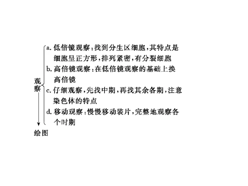 考点精讲7细胞的生命历程（教案）_新高考复习资料_2022年新高考复习资料_2022届一轮复习讲练结合7.13更新_系列二_考点精讲7细胞的生命历程