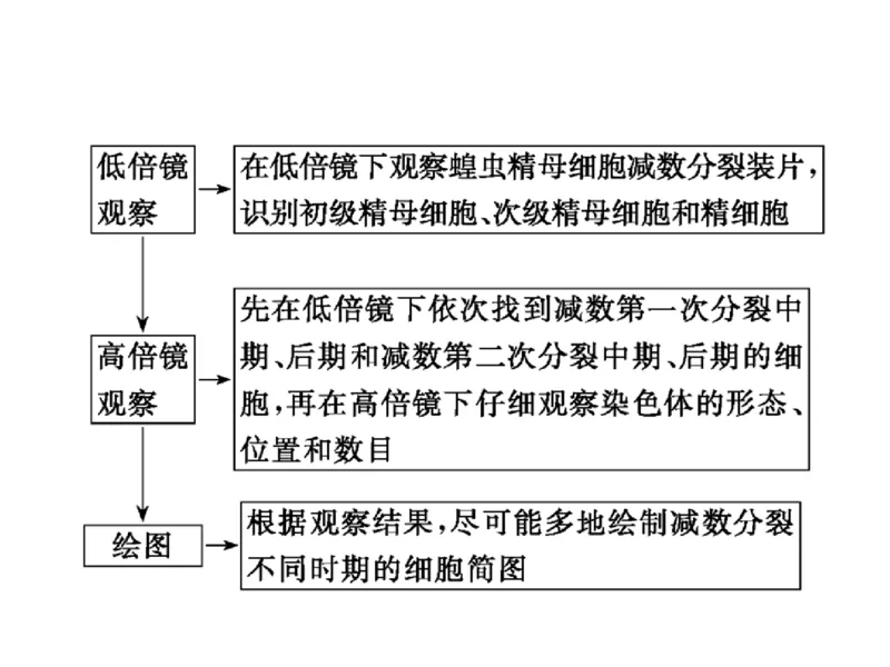 考点精讲7细胞的生命历程（教案）_新高考复习资料_2022年新高考复习资料_2022届一轮复习讲练结合7.13更新_系列二_考点精讲7细胞的生命历程