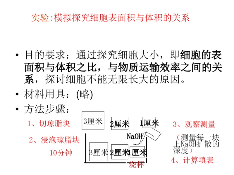 考点精讲7细胞的生命历程（教案）_新高考复习资料_2022年新高考复习资料_2022届一轮复习讲练结合7.13更新_系列二_考点精讲7细胞的生命历程
